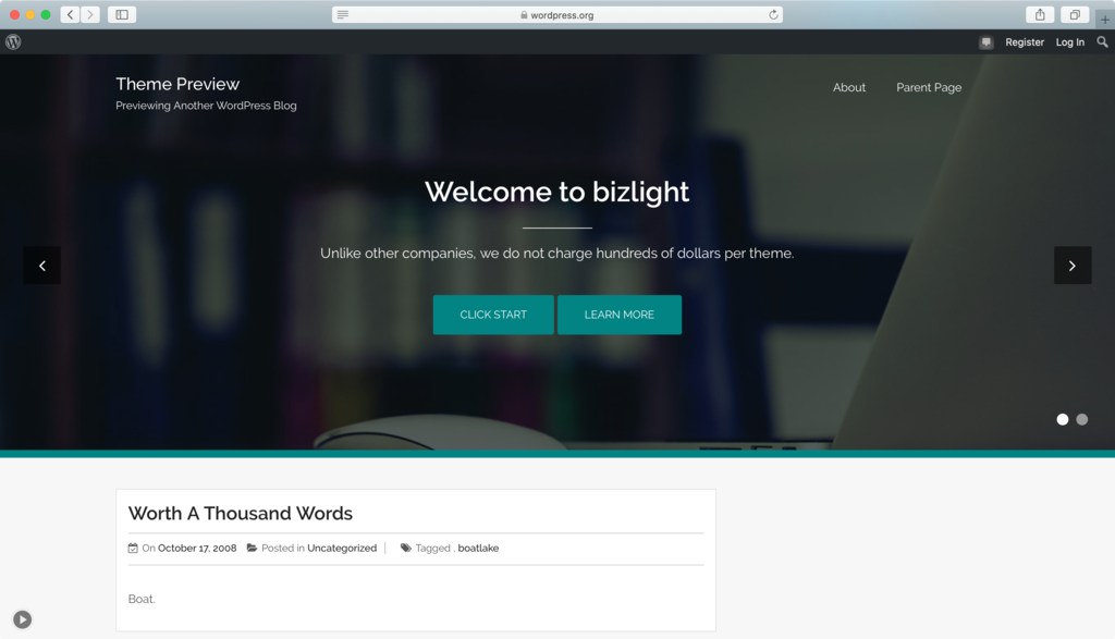 Template WordPress - bizlight