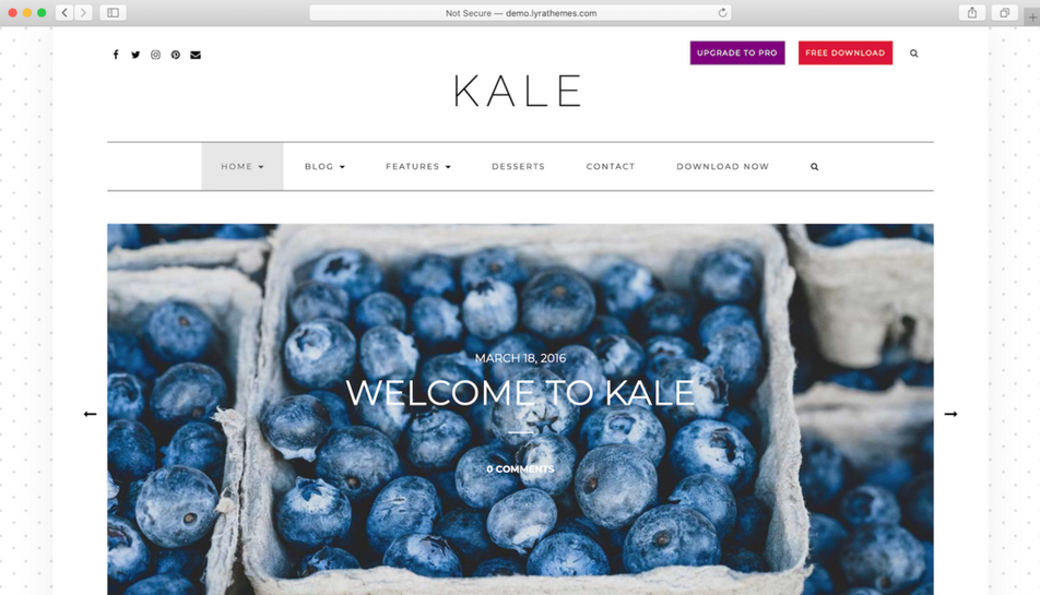 tema wordpress terbaik kale