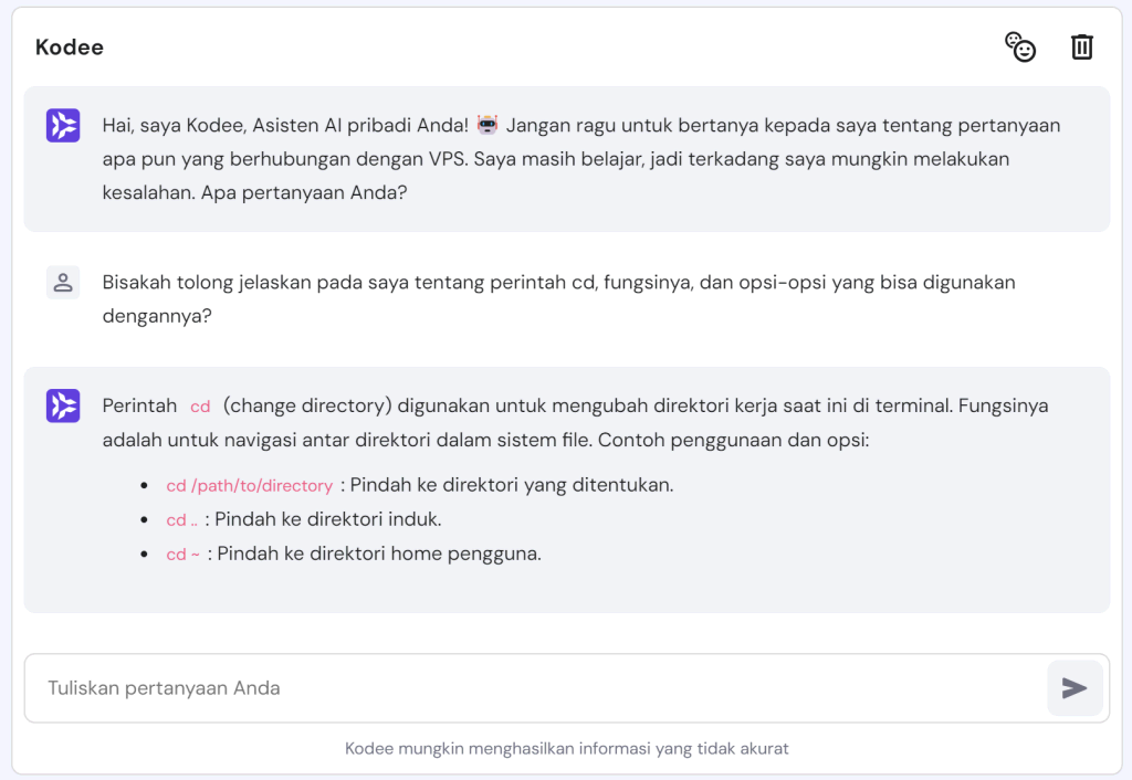 tampilan bagian vps di hpanel yang menunjukkan contoh penggunaan kodee