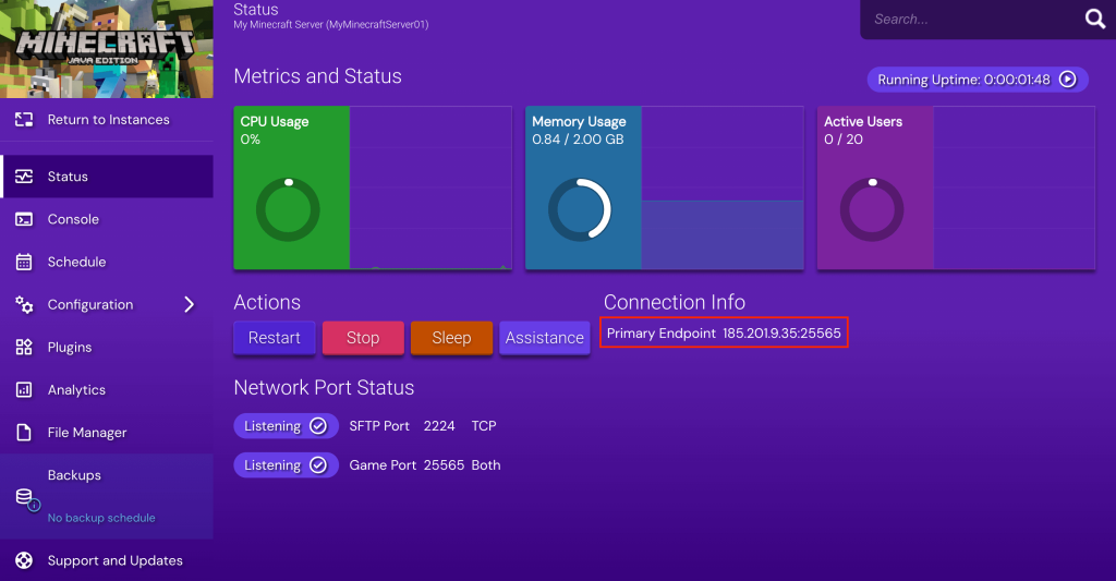 tampilan bagian endpoint game panel hostinger dengan primary endpoint yang dipilih