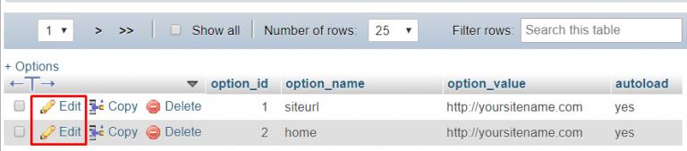 Memperbarui file wp_options