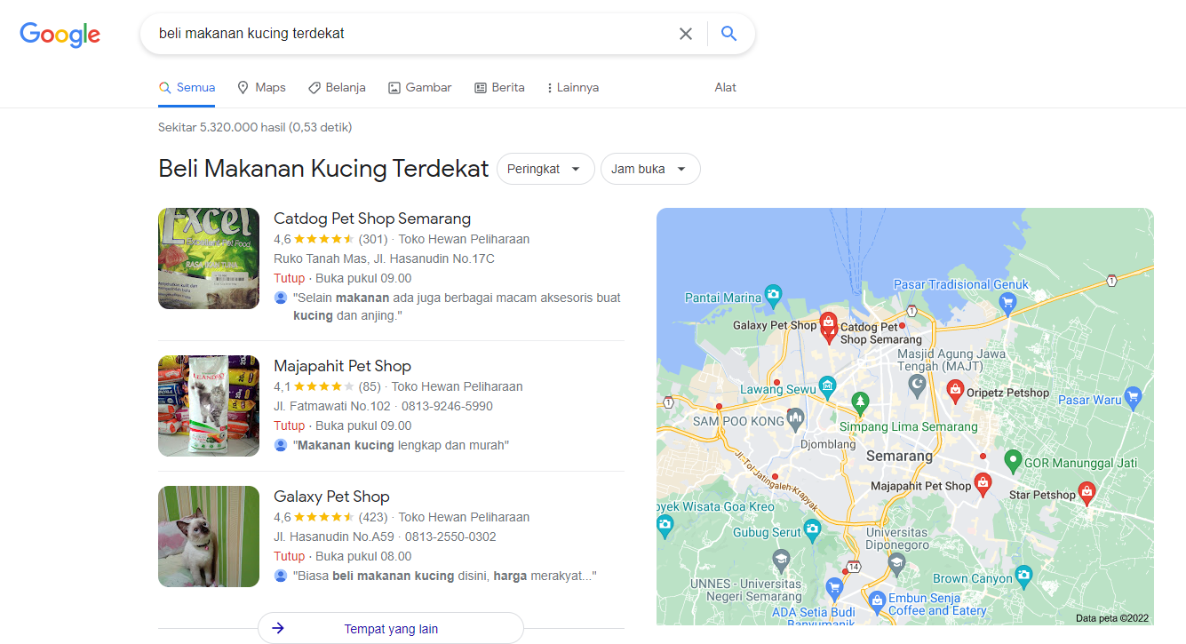 Apa Itu SEO? Pengertian SEO, Cara Kerja, Dan Jenis-Jenisnya