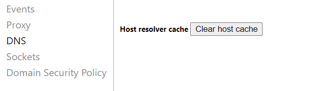 dns cache