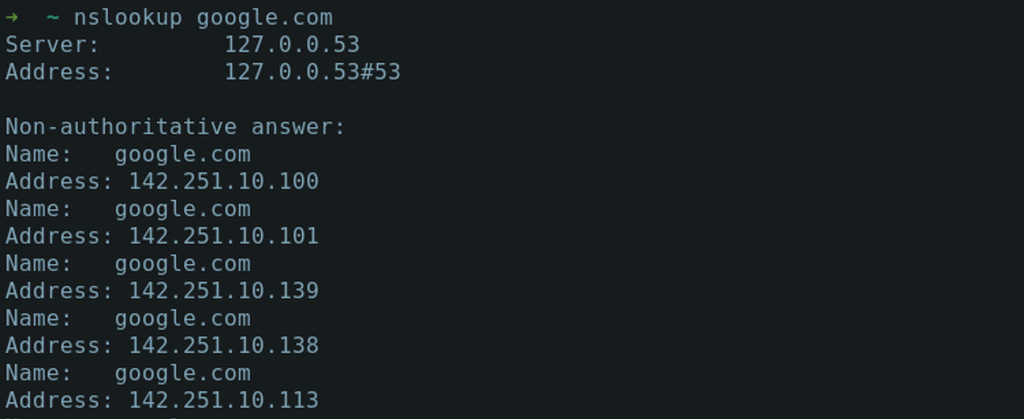 terminal linux nslookup