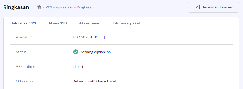 ringkasan informasi vps di hpanel