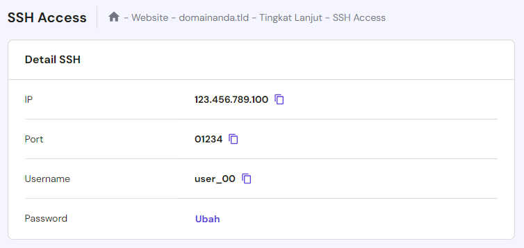 tampilan hpanel menunjukkan akses ssh website wordpress