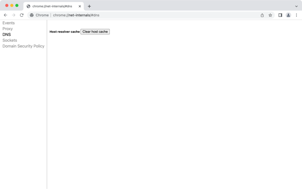 tampilan host resolver cache di google chrome untuk flush dns chrome