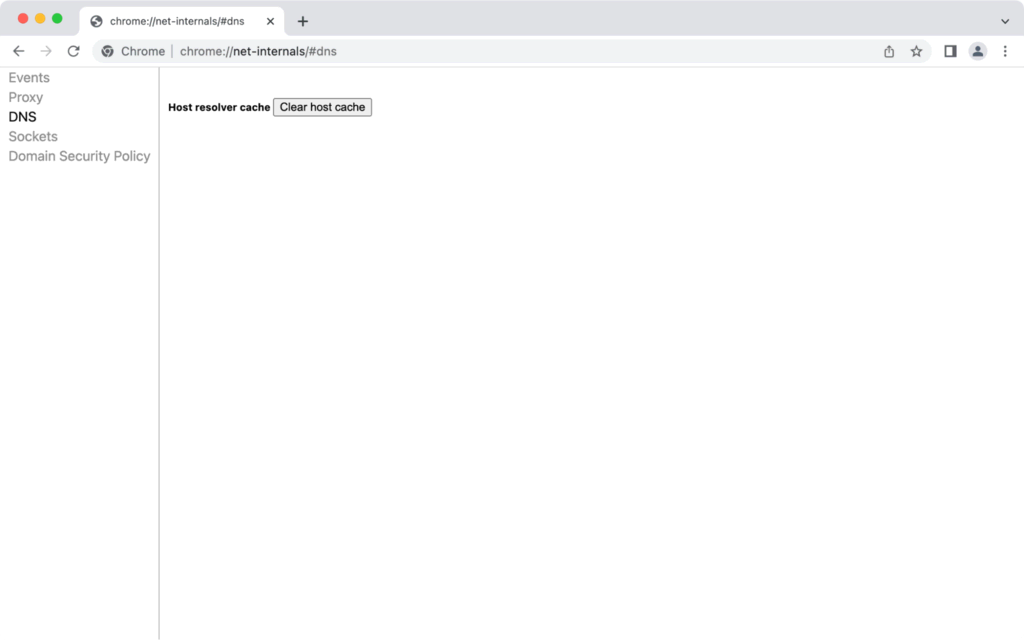 tampilan host resolver cache di google chrome untuk flush dns chrome