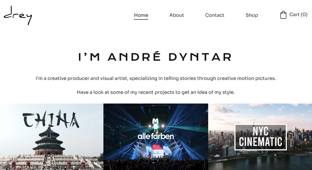 homepage website andre dyntar