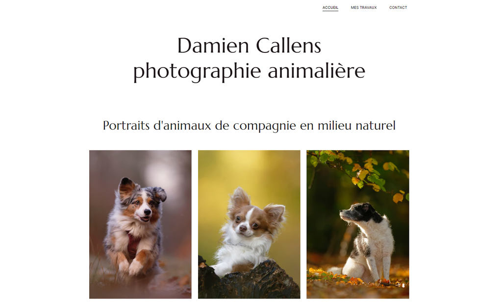 tampilan homepage website damien callens photographie