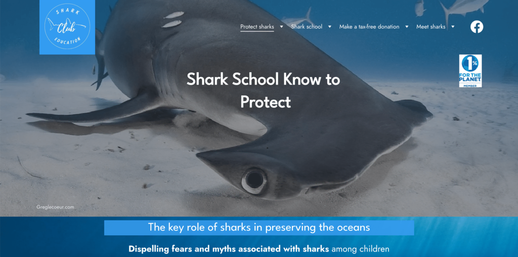 tampilan homepage website informasi shark education club