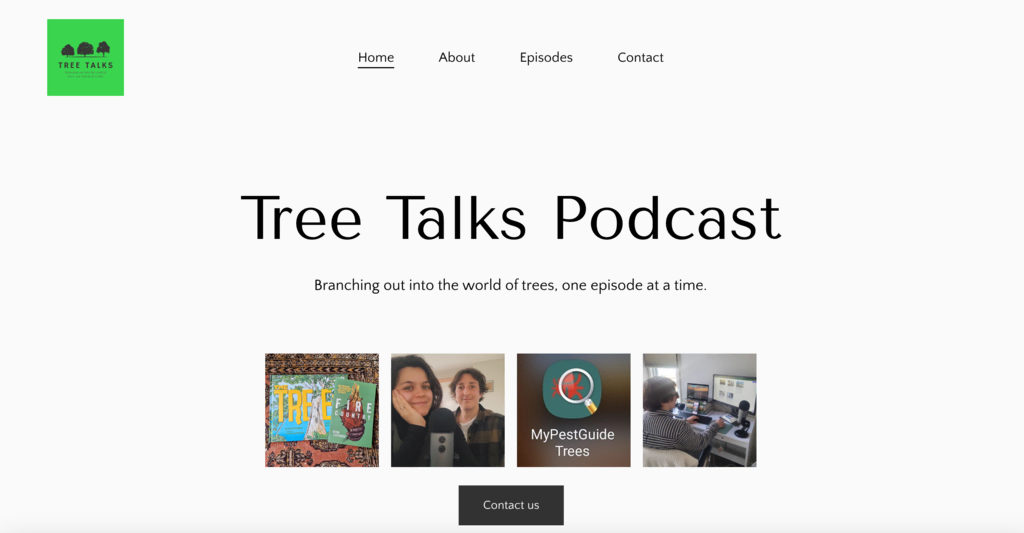 tampilan homepage contoh website podcast tree talks