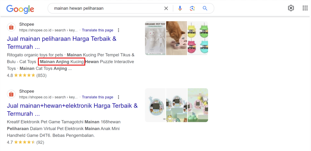 tampilan pencarian google menunjukkan kata kunci terkait untuk mainan hewan peliharaan