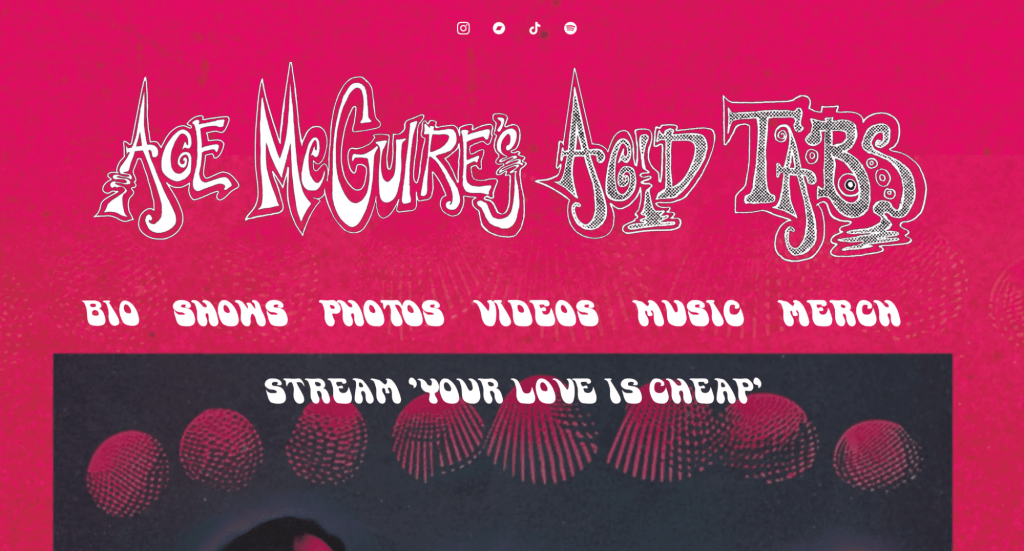 tampilan homepage website ace mcguires acid tabs