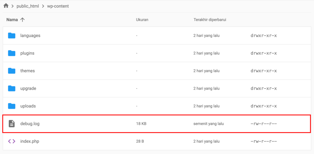 File debug.log di direktori wp-content